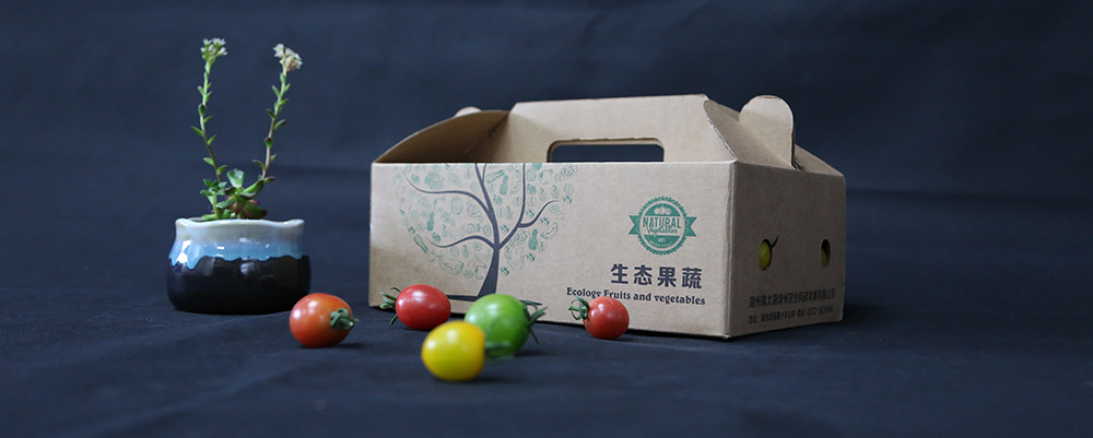 js1996(Öйú)ÓÐÏÞ¹«Ë¾