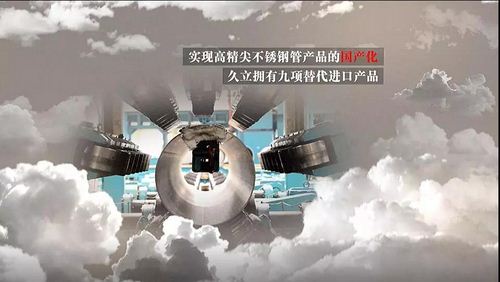 js1996(�й�)���޹�˾