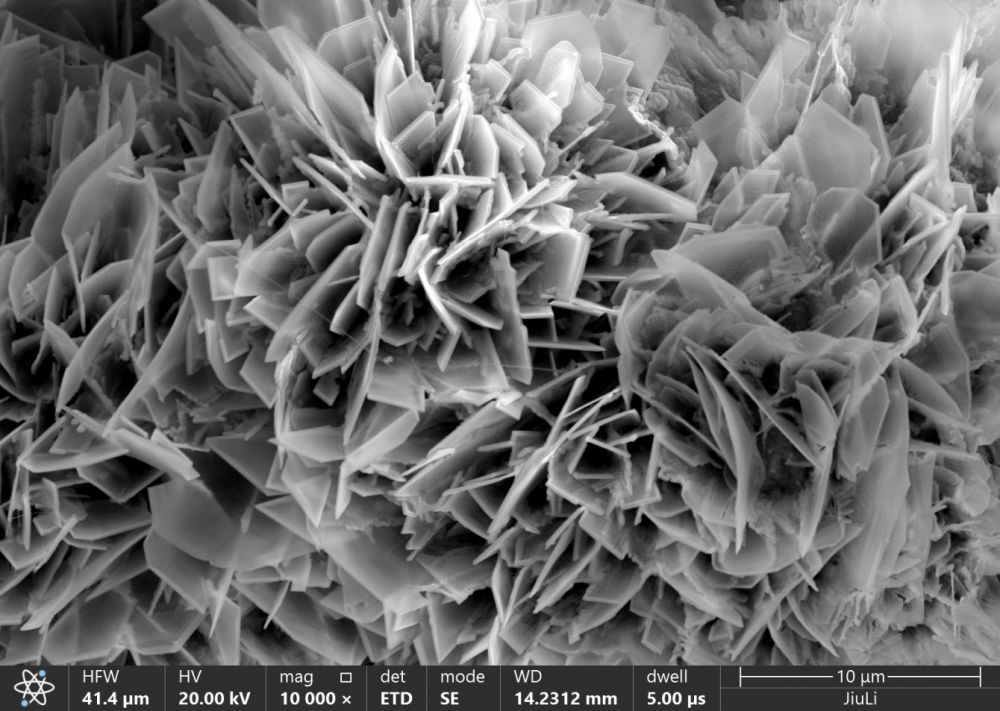 js1996(�й�)���޹�˾